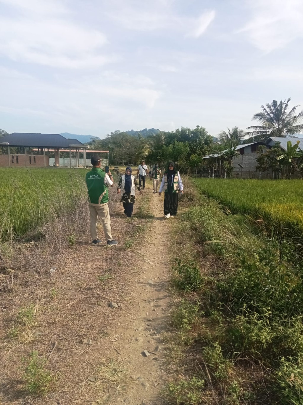 sawah didesa yang lagi dikunjungi sama penyuluh pertanian lapangan